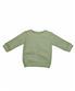 Soft Olive